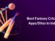 Top 10 fantasy cricket apps in India