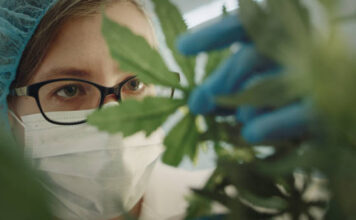 How Does Budtender Training Improve Staff’s Product Knowledge? cannabis training